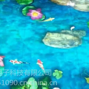 ����ͶӰ�ںϻ���ϵͳ������������������װ���������˾����