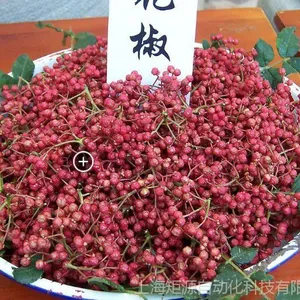 ʵ������ȡŨ���豸/��ҩ�豸/�๦����ȡŨ������