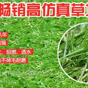 天津人造草坪_中国的足球场人造草坪