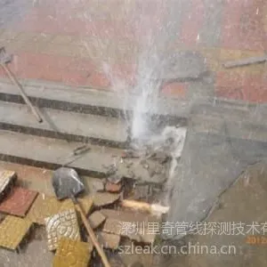 供应东莞丹缇轩花园漏水探测案例