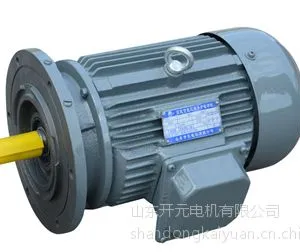 厂价供应YE2 160M-4-11X6 摆线减速机电机/山东开元