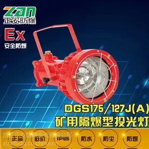 DGS175/127B(A)矿用隔爆型投光灯 led隔爆型投光灯