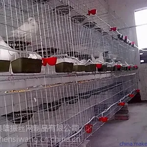 ���������ͼƬ �����Ĳ�16��λ���� ��ֳ����ר��
