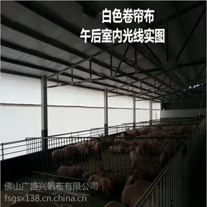 厂家直销广东湛江白色PVC涂塑布2*2养殖场保暖养殖场卷帘猪舍帆布加工 高销量防寒防水卷帘帆布