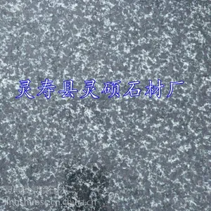 ֱ��ɭ������֦�� ɭ����ʯ�Ĺ��� ��ɫ�����ҳ��� ��˶ʯ�ĳ�