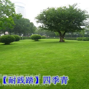 ����é���� ���� ��ƺ���� �伾�Ͳ�ƺ���� ���ﲥ�����ļ�����