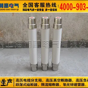 XRNT-10KV/50A高分断能力高压限流熔断器
