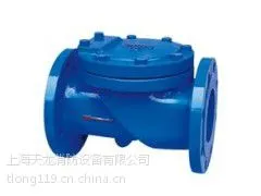 H44X-16Q(大体)橡胶瓣止回阀