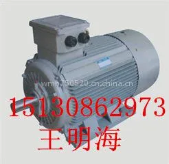 ��Ӧ��ˮ����Y2-132S-8-2.2KWKW�����첽�綯��