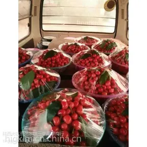 陕西大荔大红灯樱桃产地，樱桃基地***格