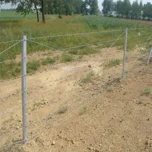 �ȶ�п��˿ ��˿ͼƬ Χ������