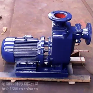 ZW型污水自吸泵
