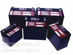 大力神UPS电源专用蓄电池