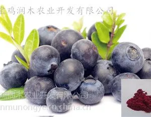 宝鸡润木推出蓝莓果粉 蓝莓提取物粉 可免费拿样检测