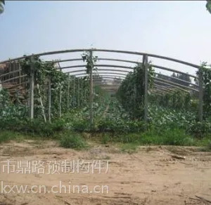 扬州市专业生产葡萄柱厂家13665206150