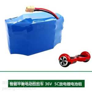 18650锂电池组 电动扭扭车 智能平衡双轮代步车锂电池 生产厂家
