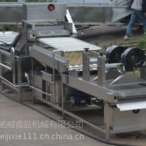 山东铭威优质蔬菜清洗机价格