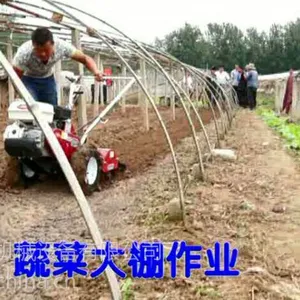 �߲˴��������� С�������� ������