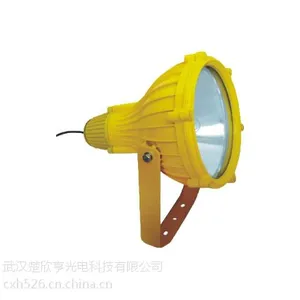 400W防爆投光灯 海洋王BTC8210油库防爆投光灯 400W机场防爆投光灯