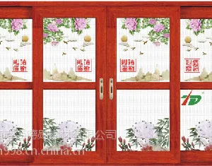 广东德勋厂家直销 德勋1号防盗推拉纱门 纱窗 防盗门 彩绘金刚网