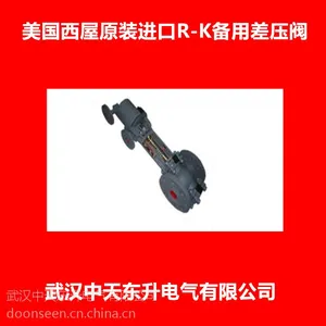 美国R-K RUGGLES-KLINGEMANN备用压差阀R -K备用差压阀密封油系统专用