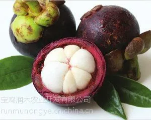 宝鸡润木 供应 山竹果粉厂家 ***水溶 货真价实