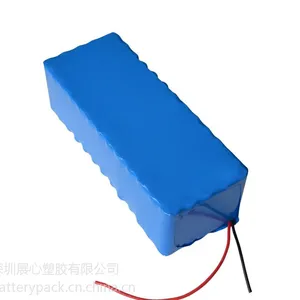 竞争力26V36V48V60V电动自行车电池价格
