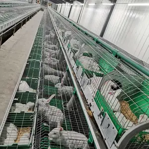 רҵ������������ ��ë�÷���һ���� �Զ�ι������ʽ���÷�ֳ���۸�