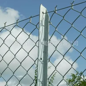 供应湖南勾花护栏网|湖南菱形网|湖南围栏价格|镁洋护栏--13180010005