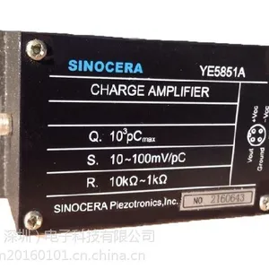 YE5851D美国GST电荷放大器YE5851D