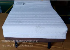 北欧睡眠电动床性价比高
