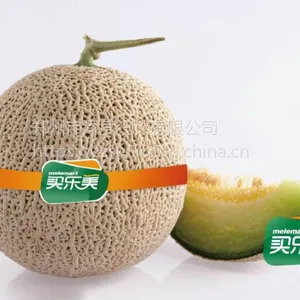 供应酒水包装设计 设计印刷 海报设计 品牌设计