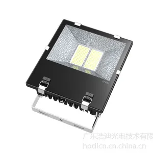 供应led投光灯 集成投光灯 大功率200W 重量轻易装配 浩迪 3年质保
