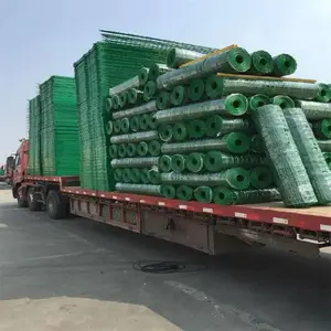 ��̩������ Χ���� ��ֳ��