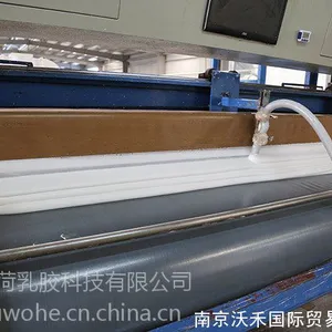 �齺Ƭ������_ �齺���涨�� w��Ȼ�齺��Ʒ��