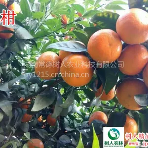 ���Ϲ�Ӧ��������Ӹ��� �޲��������ָ��� 30��70���ָ߼޽�С��