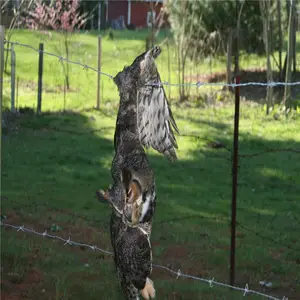 �ȶ�п��˿ ��˿ͼƬ Χ������