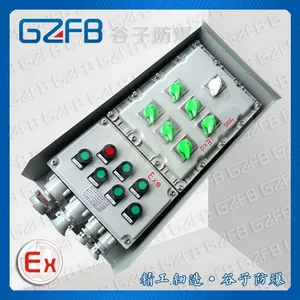 BXMD-K5/32A 防爆照明动力配电箱 户外带防雨罩 定做防爆箱
