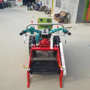 �����ھ�� �ع������ھ�� ������