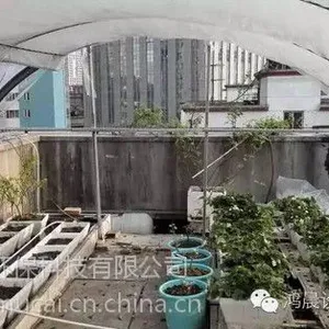 ������ůʽ�߲˴��� H80����Ǽ�