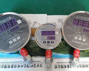 可雷可MPM484ZL压力变送控制器
