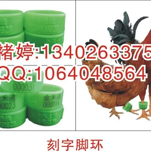 供应防脱激光刻字小鸡脚环