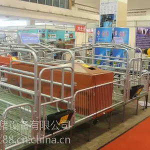 河北福临养猪设备猪哈哈母猪产床 铸铁产床 双体复合产床 妊娠床养殖器械