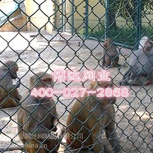 湖北野生动物园围栏_专用菱形网护栏_野生动物园防护钢丝网高度