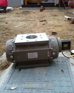 供应气体腰轮罗茨流量计