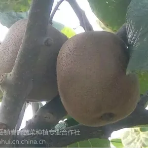 ��������⨺��������⨺������������⨺�������