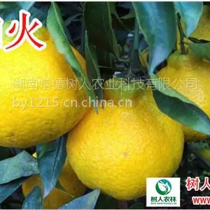 ���Ϲ�Ӧ��֪���̸����� ���ٲ�֪�� ��˹� 30��70����һ����