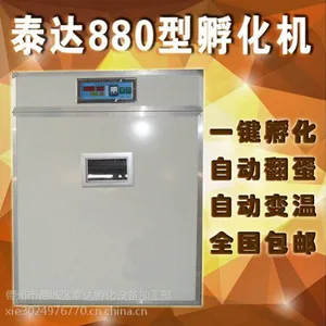 供应家用小型孵蛋机/泰达TD-880枚鸡蛋孵化机/鸭孵化机