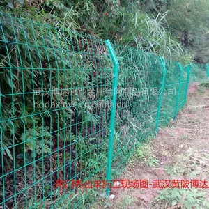 湖北黄冈黄梅县农村规模养殖户抛山开发养殖山羊、山猪、山鸡圈舍活动场铁丝网围栏