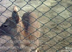 牛栏网,养殖牛栏网现货,养殖铁丝网,厂家直销